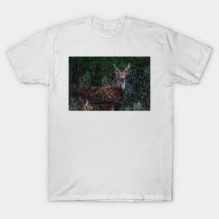 Axis Deer - Chital - Spotted Deer T-Shirt